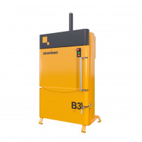 B3